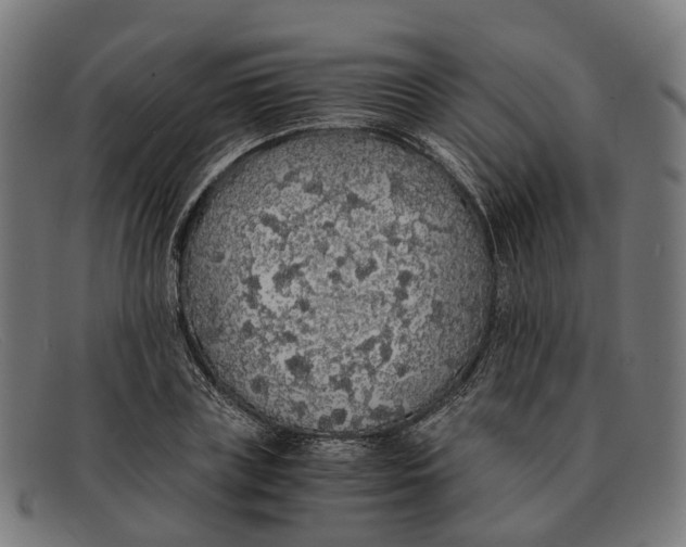 X0000091490835200709131829