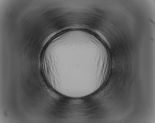 X0000091490837200709131829
