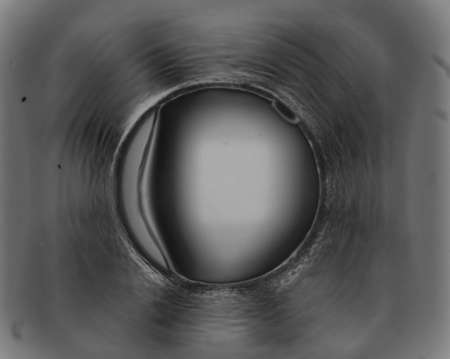 X0000091490838200709131829