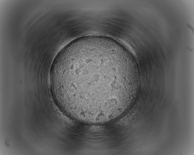 X0000091490839200709131829