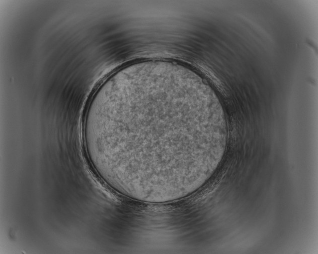 X0000091490840200709131829