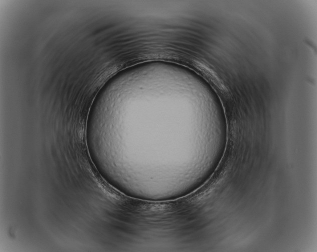 X0000091490841200709131829