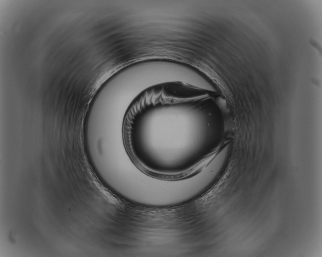 X0000091490842200709131829