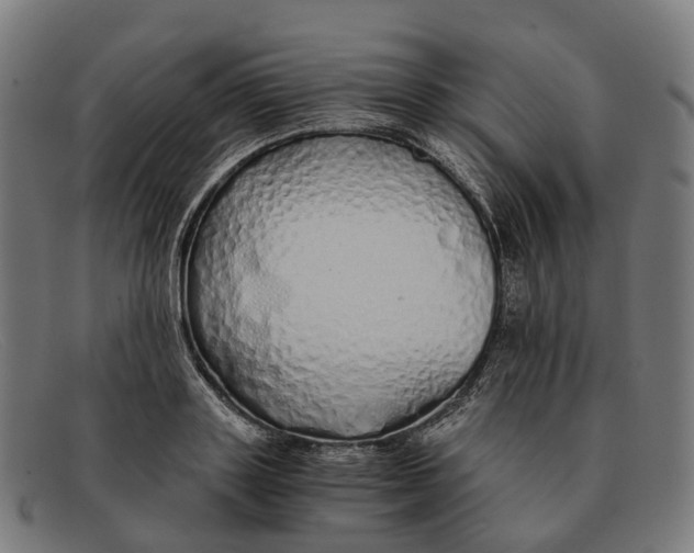 X0000091490843200709131829