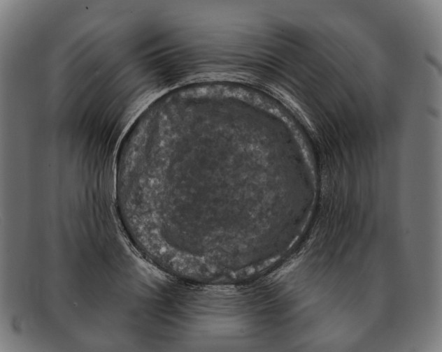 X0000091490844200709131829