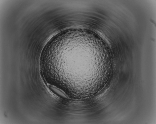X0000091490845200709131829
