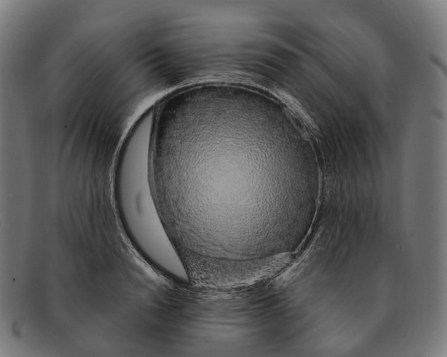 X0000091490846200709131829