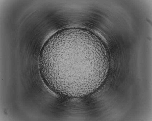 X0000091490847200709131829