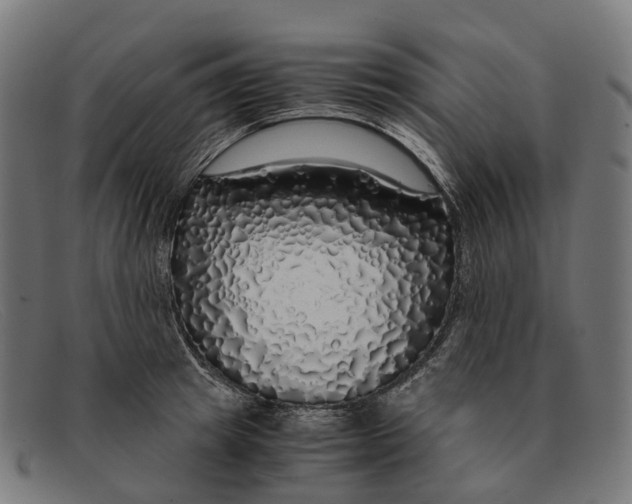 X0000091490849200709131829