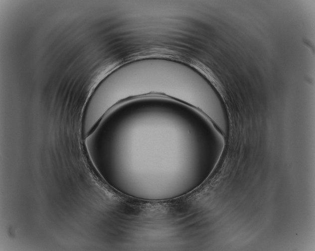 X0000091490850200709131829