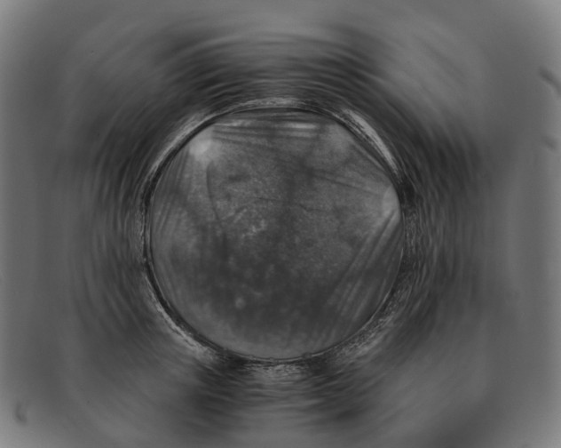 X0000091490851200709131829