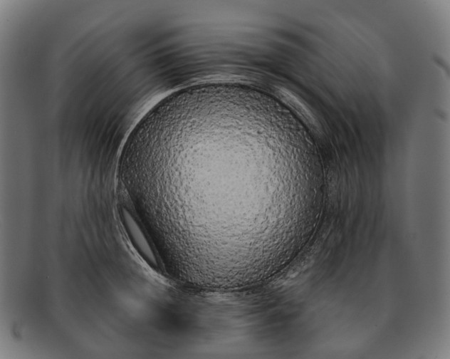 X0000091490852200709131829