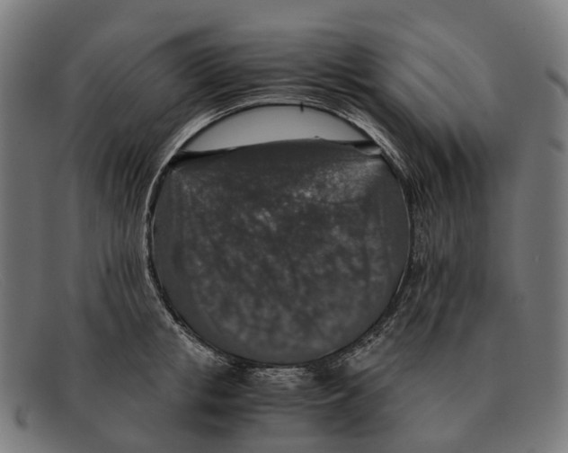 X0000091490853200709131829
