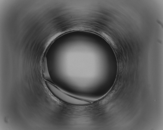 X0000091490854200709131829