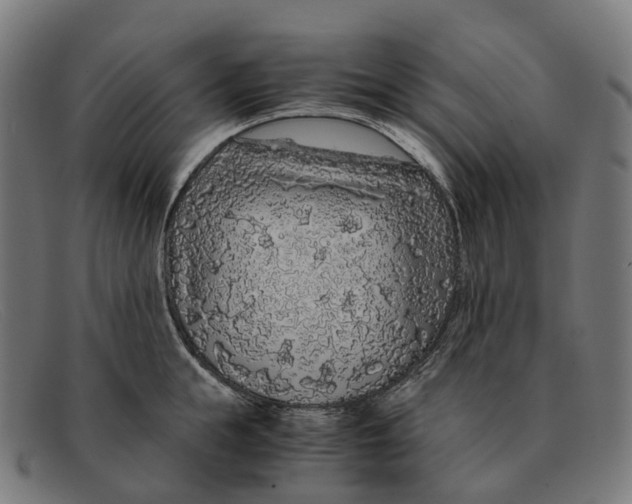 X0000091490855200709131829