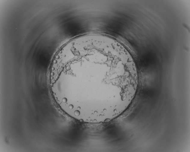 X0000091490856200709131829