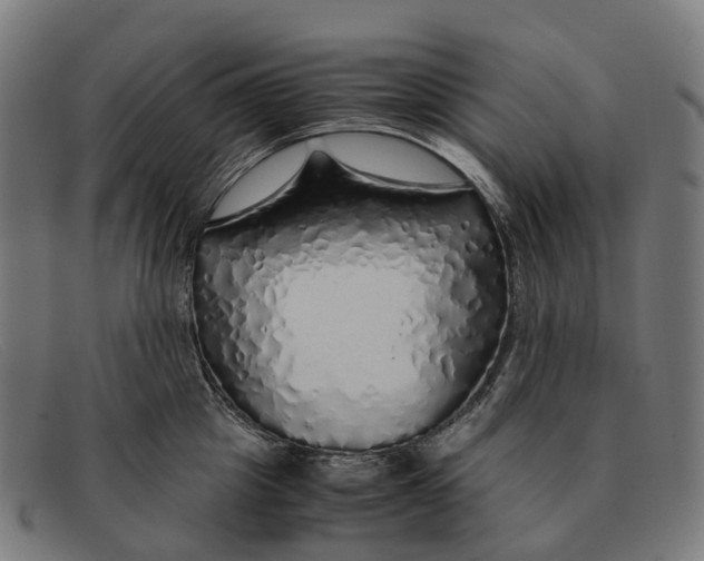X0000091490857200709131829