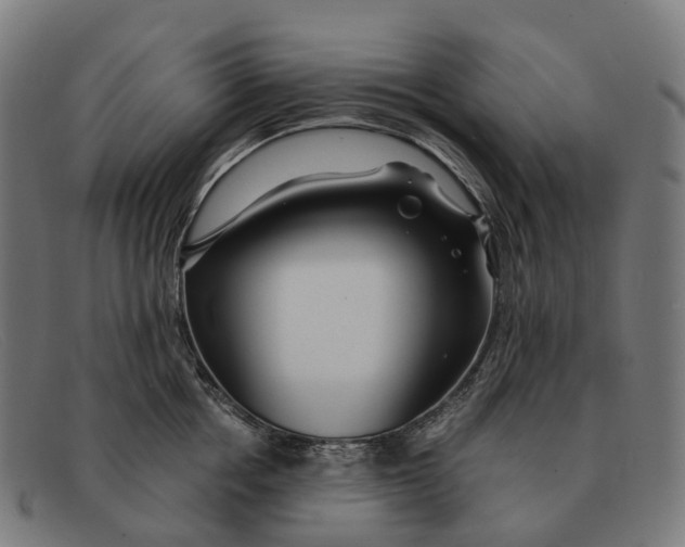 X0000091490858200709131829