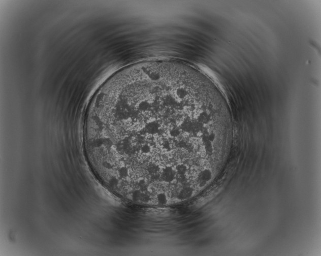 X0000091490859200709131829