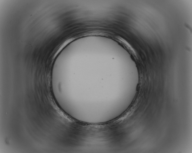 X0000091490860200709131829