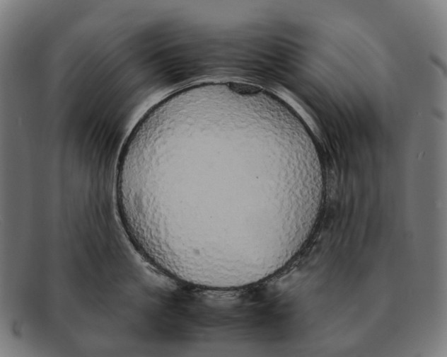 X0000091490861200709131829