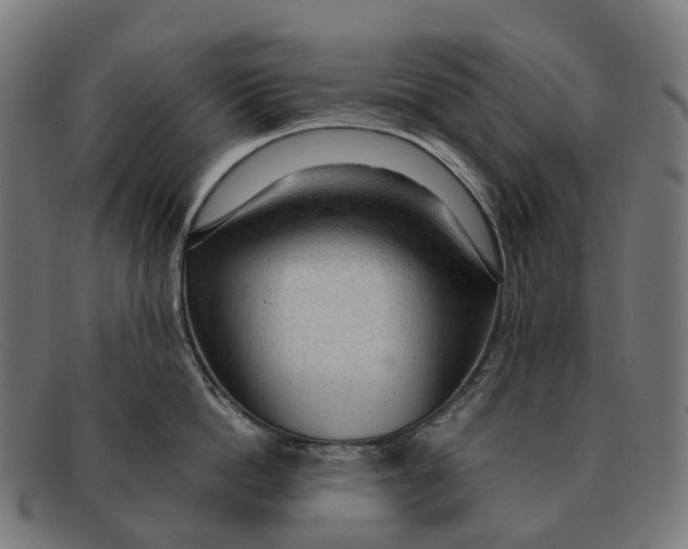 X0000091490862200709131829