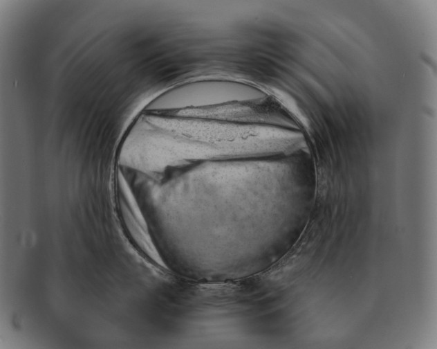 X0000091490863200709131829
