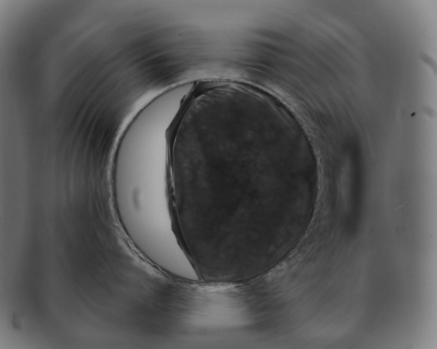 X0000091490864200709131829