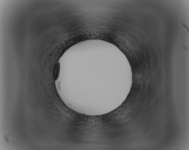 X0000091490865200709131828