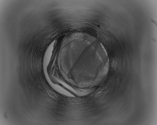 X0000091490868200709131828