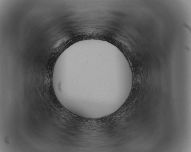 X0000091490869200709131828