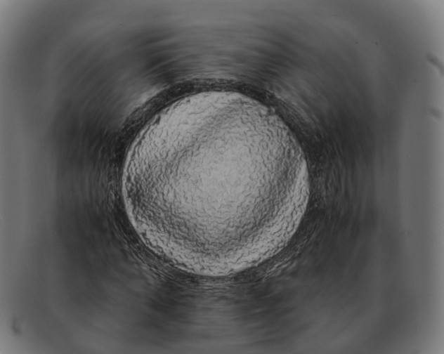 X0000091490870200709131828