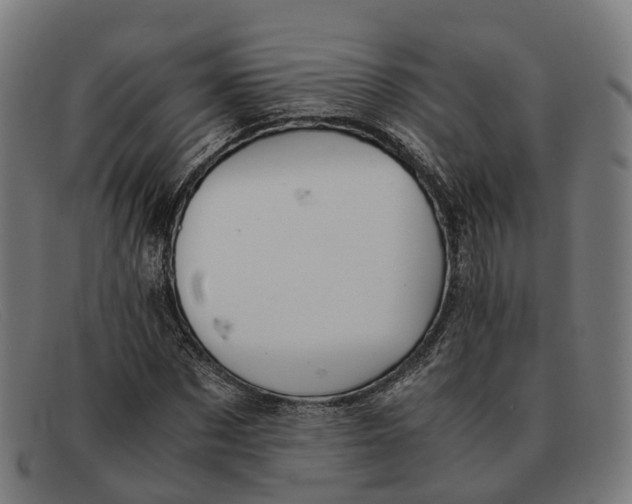 X0000091490873200709131828