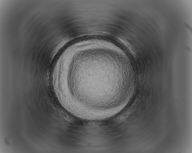 X0000091490875200709131828