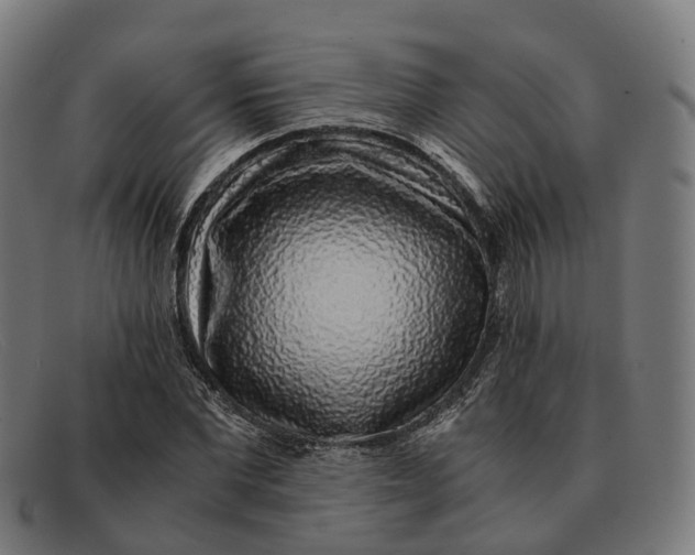 X0000091490877200709131828