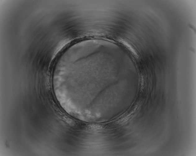 X0000091490878200709131828