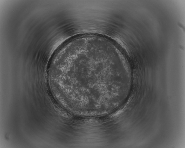 X0000091490879200709131828