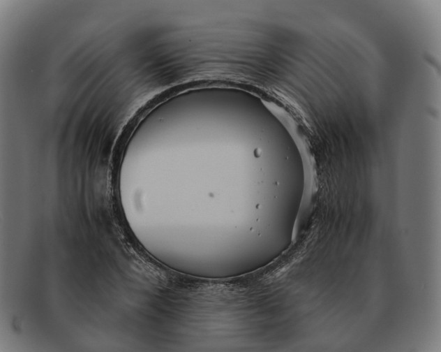 X0000091490880200709131828