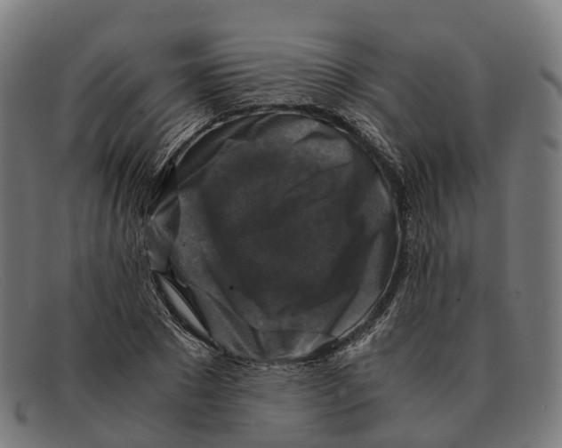 X0000091490881200709131828