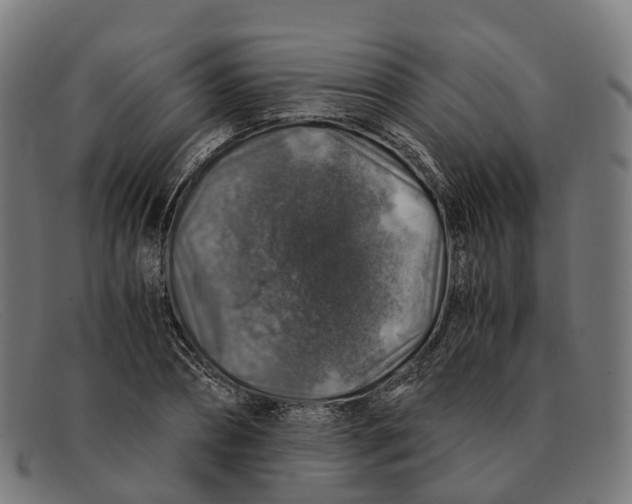 X0000091490882200709131828