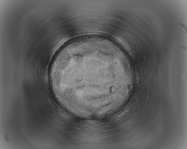X0000091490883200709131828