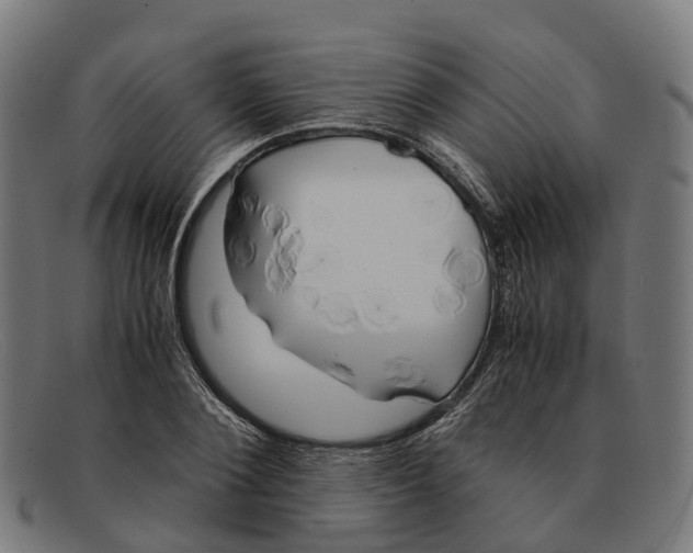 X0000091490884200709131828