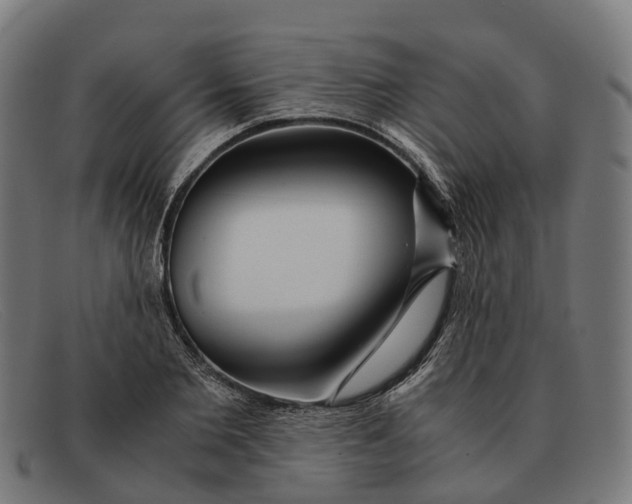 X0000091490885200709131828