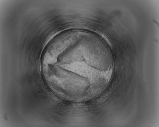 X0000091490887200709131828
