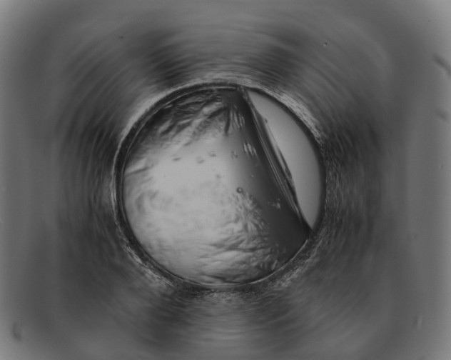 X0000091490888200709131828