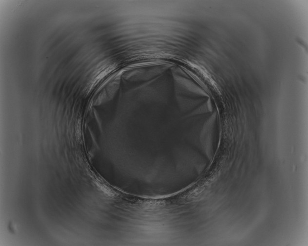 X0000091490889200709131828