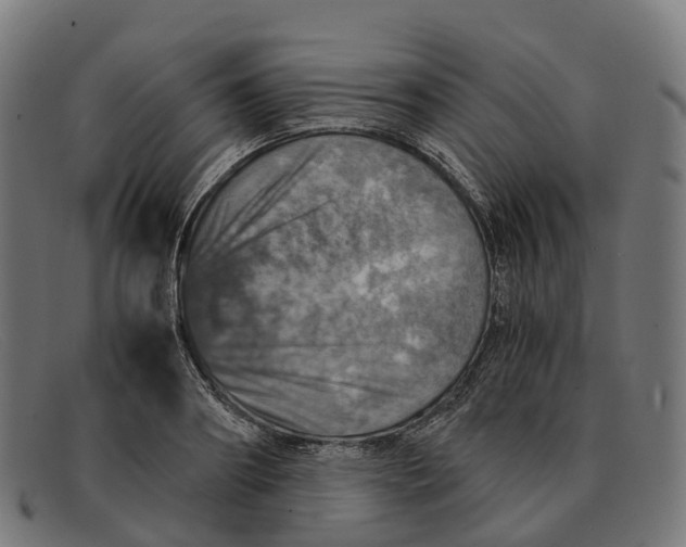 X0000091490890200709131828