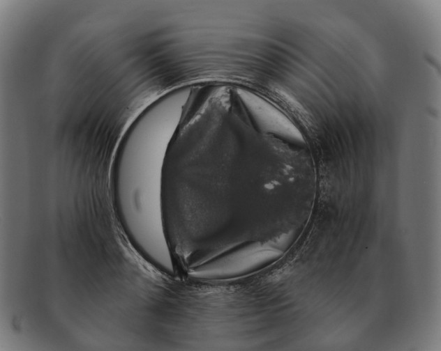 X0000091490892200709131828