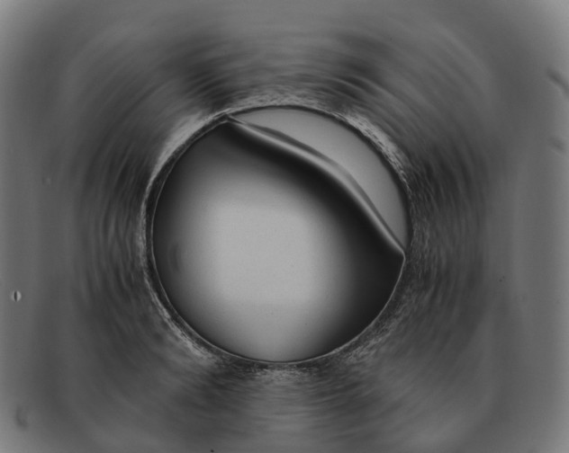 X0000091490894200709131828