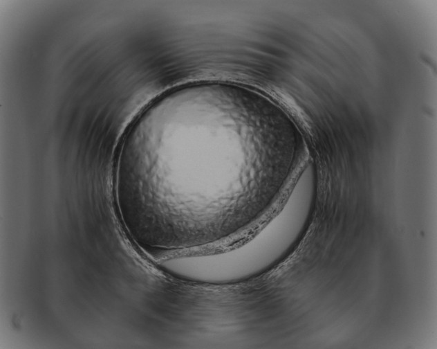 X0000091490896200709131828
